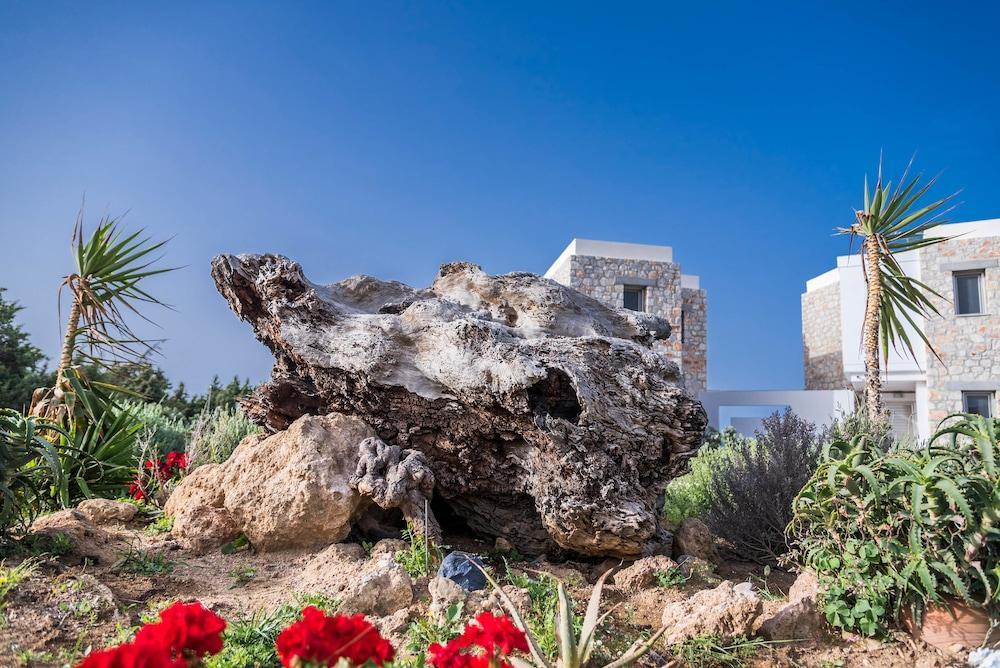 Cedar Bay Beachside Villas Παλαιοχώρα Εξωτερικό φωτογραφία