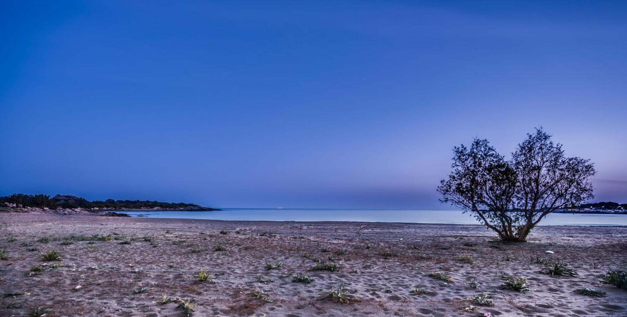 Cedar Bay Beachside Villas Παλαιοχώρα Εξωτερικό φωτογραφία